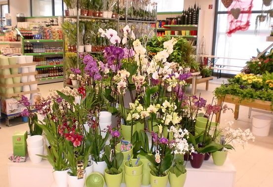 csm_bad-mgh-12_addc5b7be4